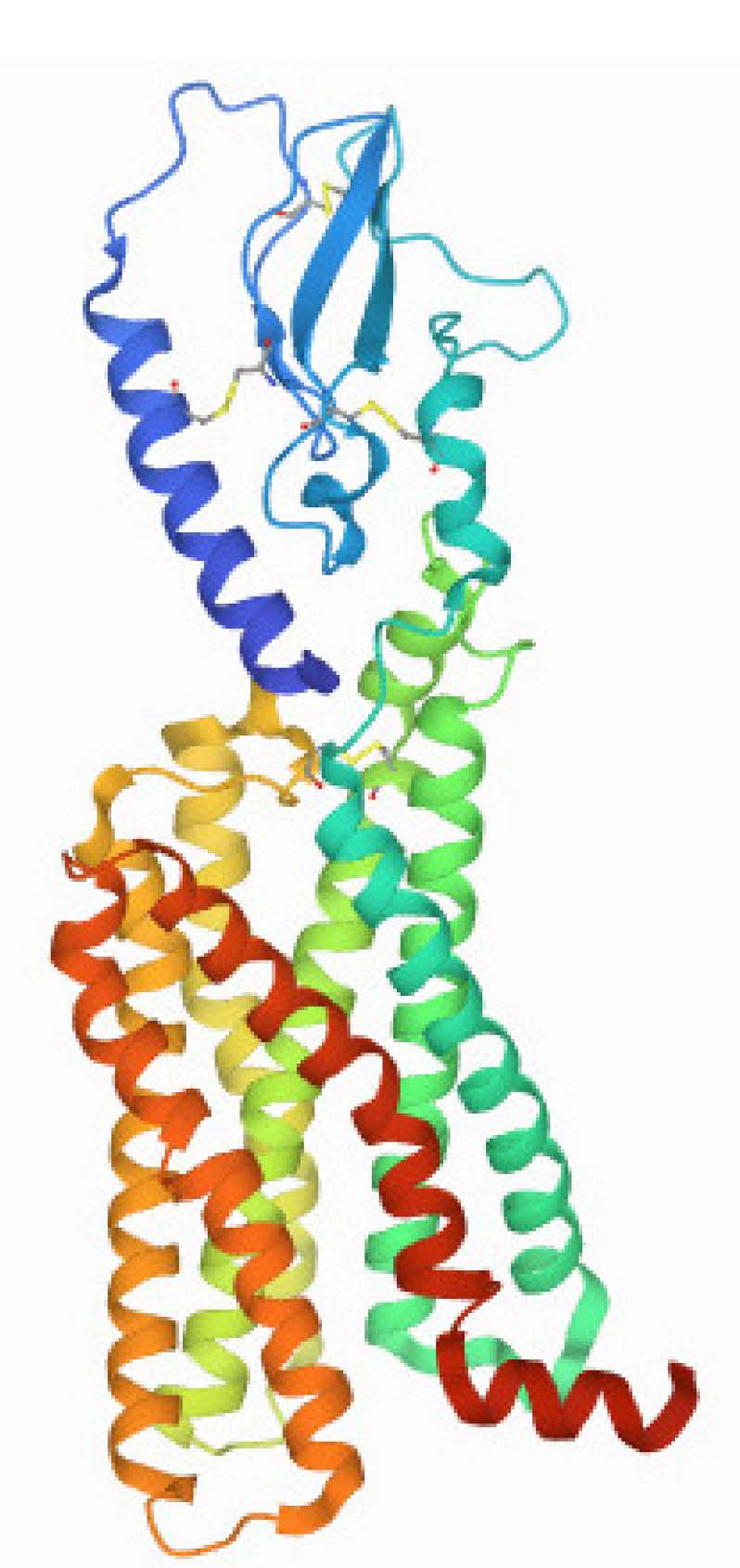 starting a glp 1 What to Expect After First Semaglutide GLP-1 Injection?