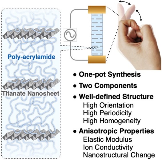 Graphical Abstract
