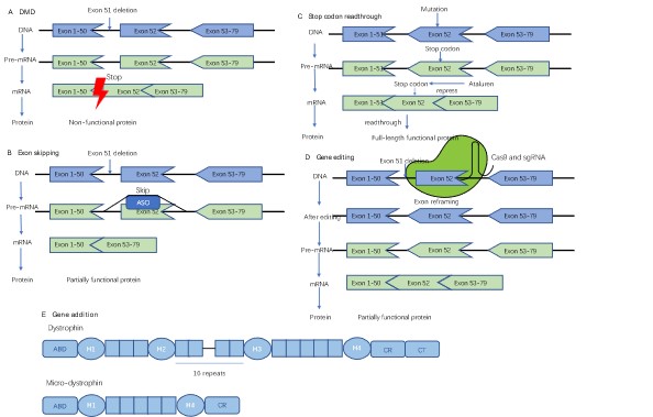 Graphical Abstract