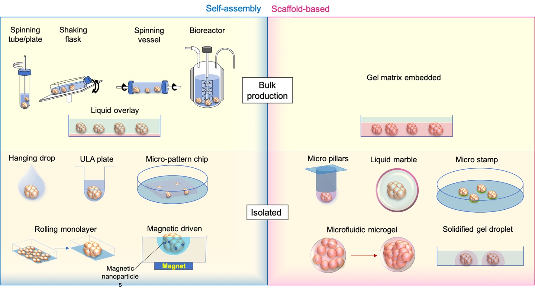 Graphical Abstract