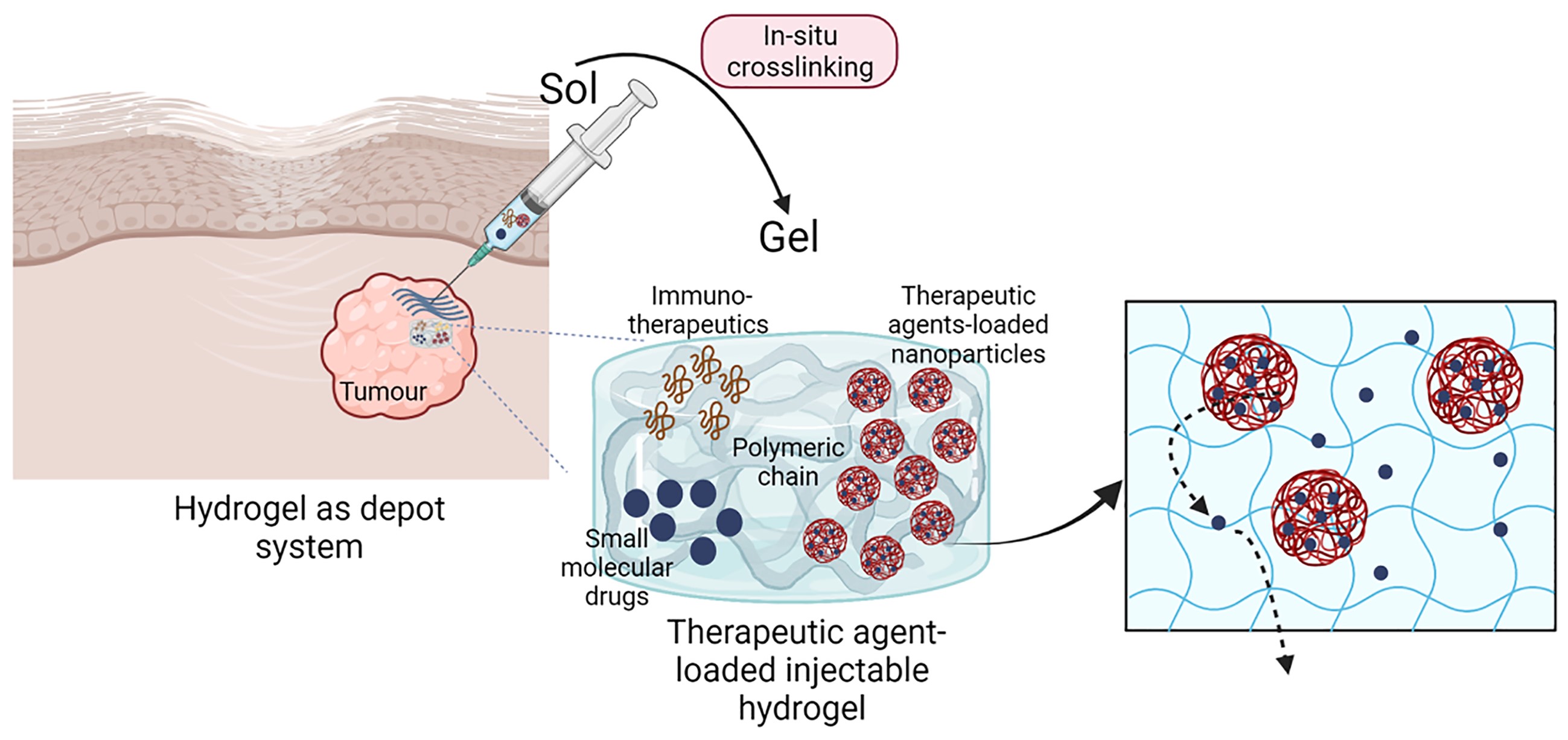 Graphical Abstract