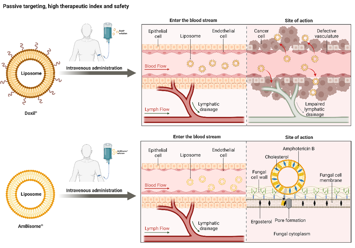 Graphical Abstract