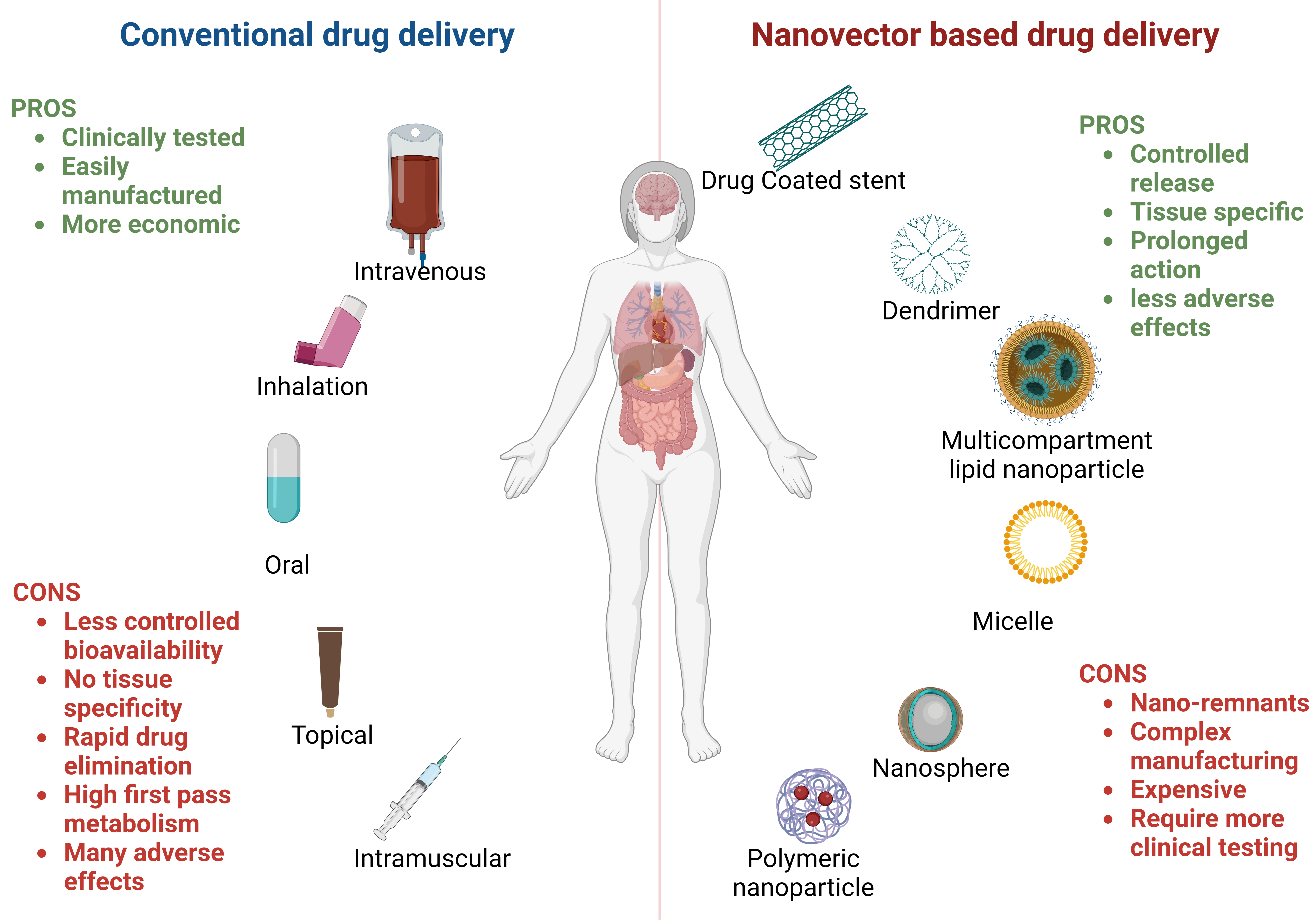Graphical Abstract