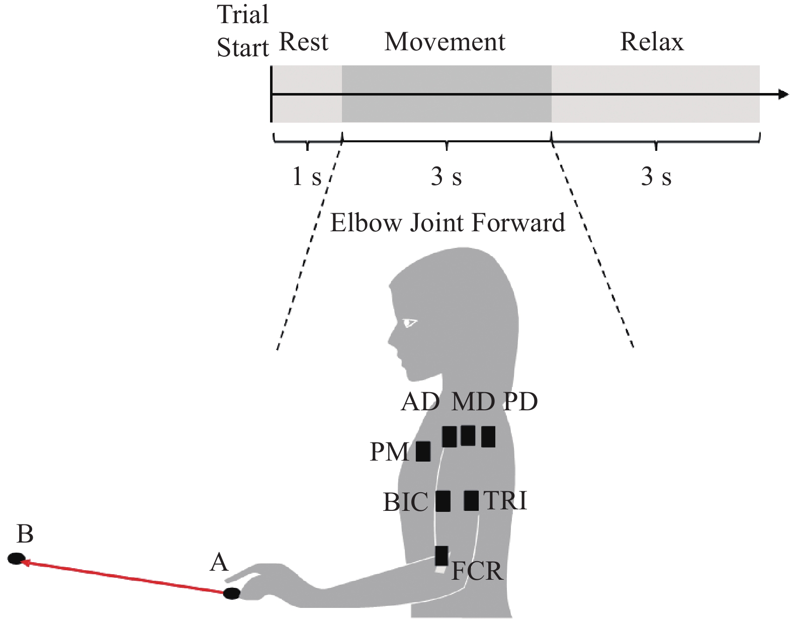 Graphical Abstract