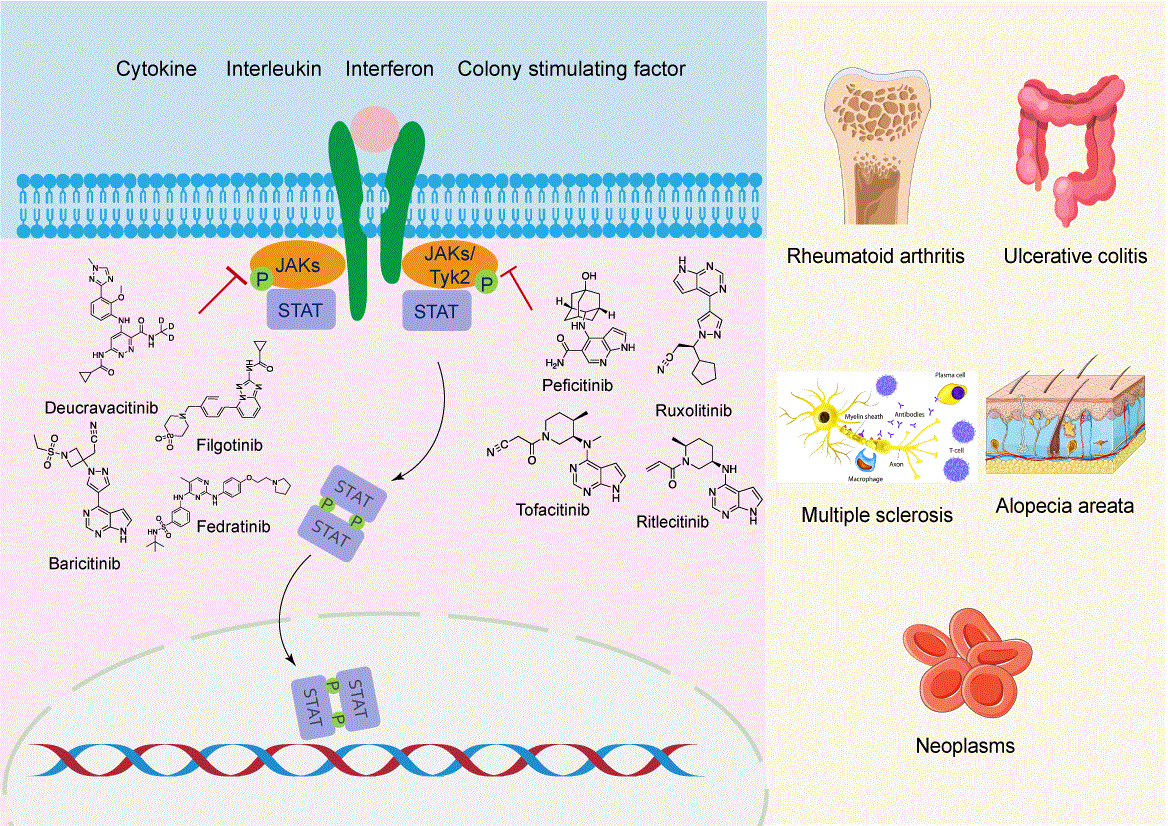 Graphical Abstract