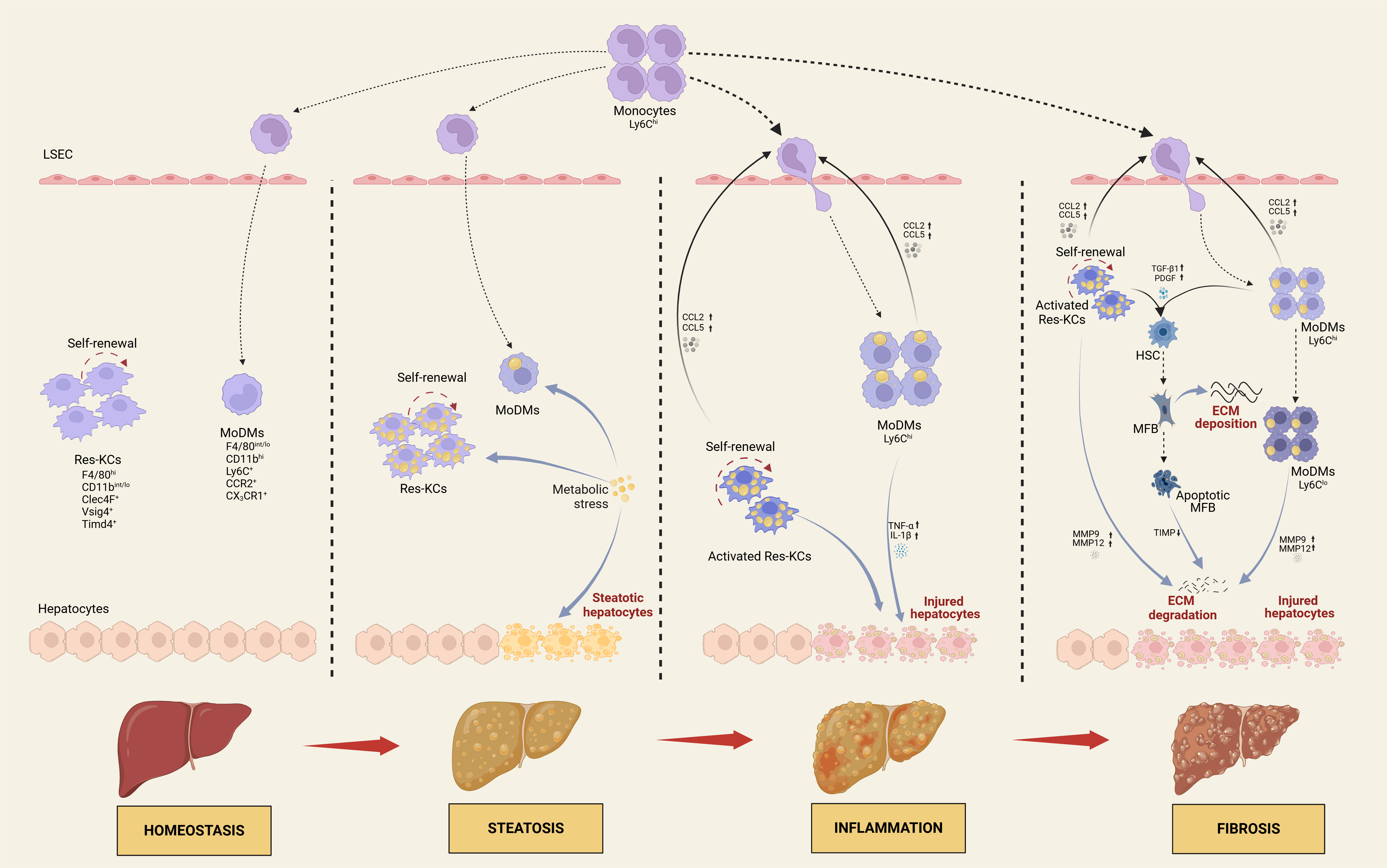 Graphical Abstract