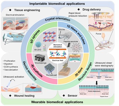 Graphical Abstract