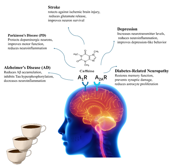 Graphical Abstract