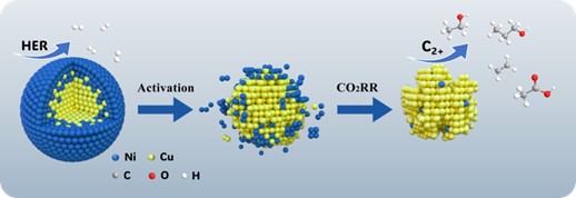 Graphical Abstract
