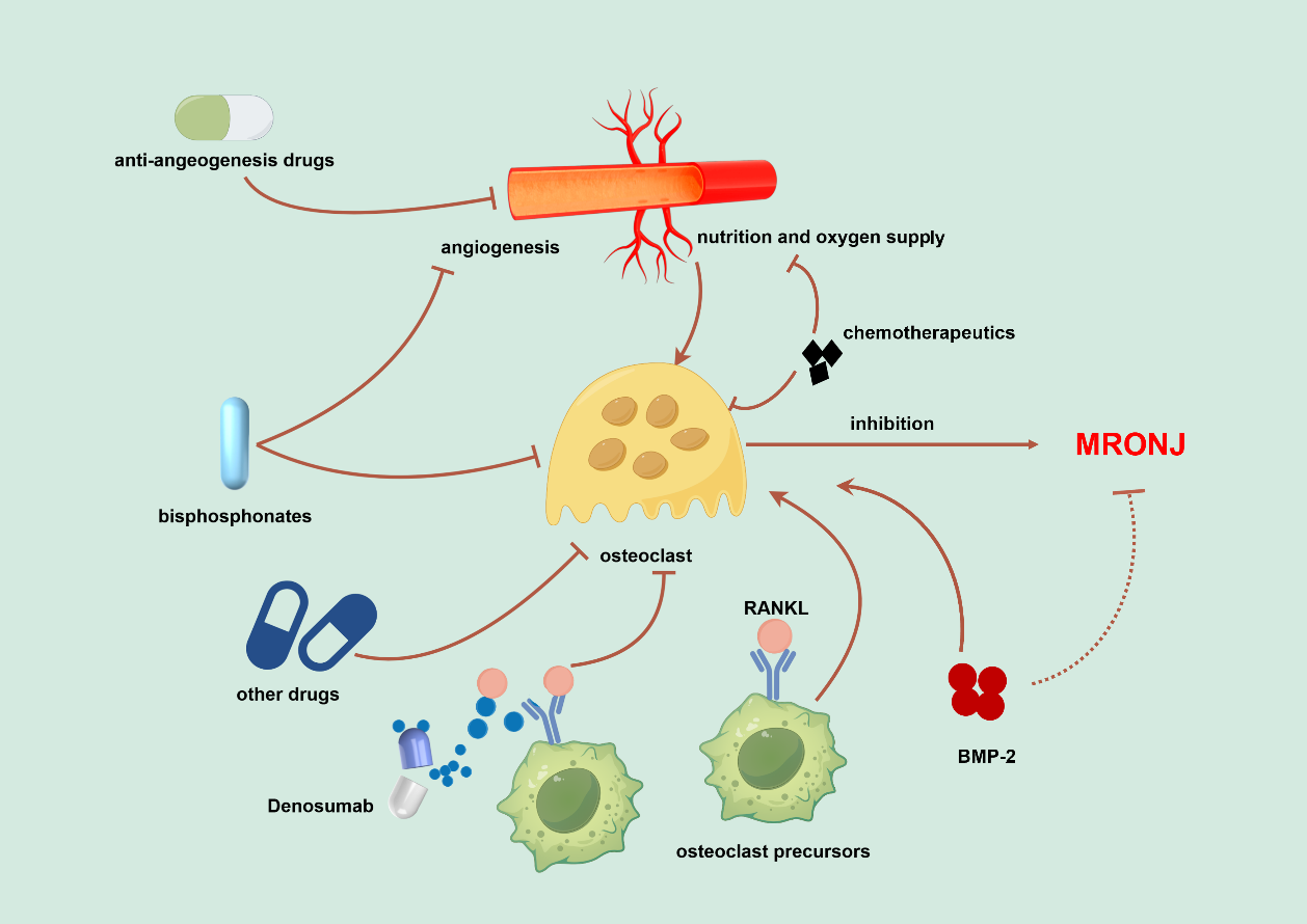 Graphical Abstract