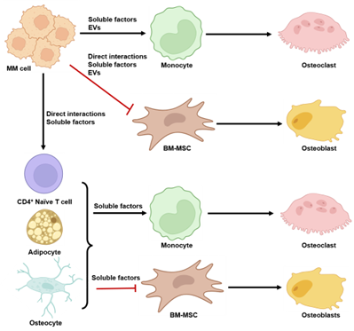 Graphical Abstract