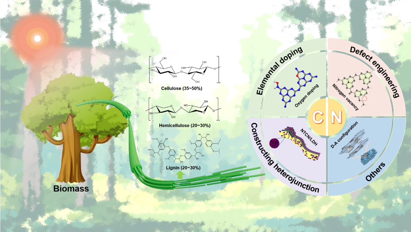 Graphical Abstract
