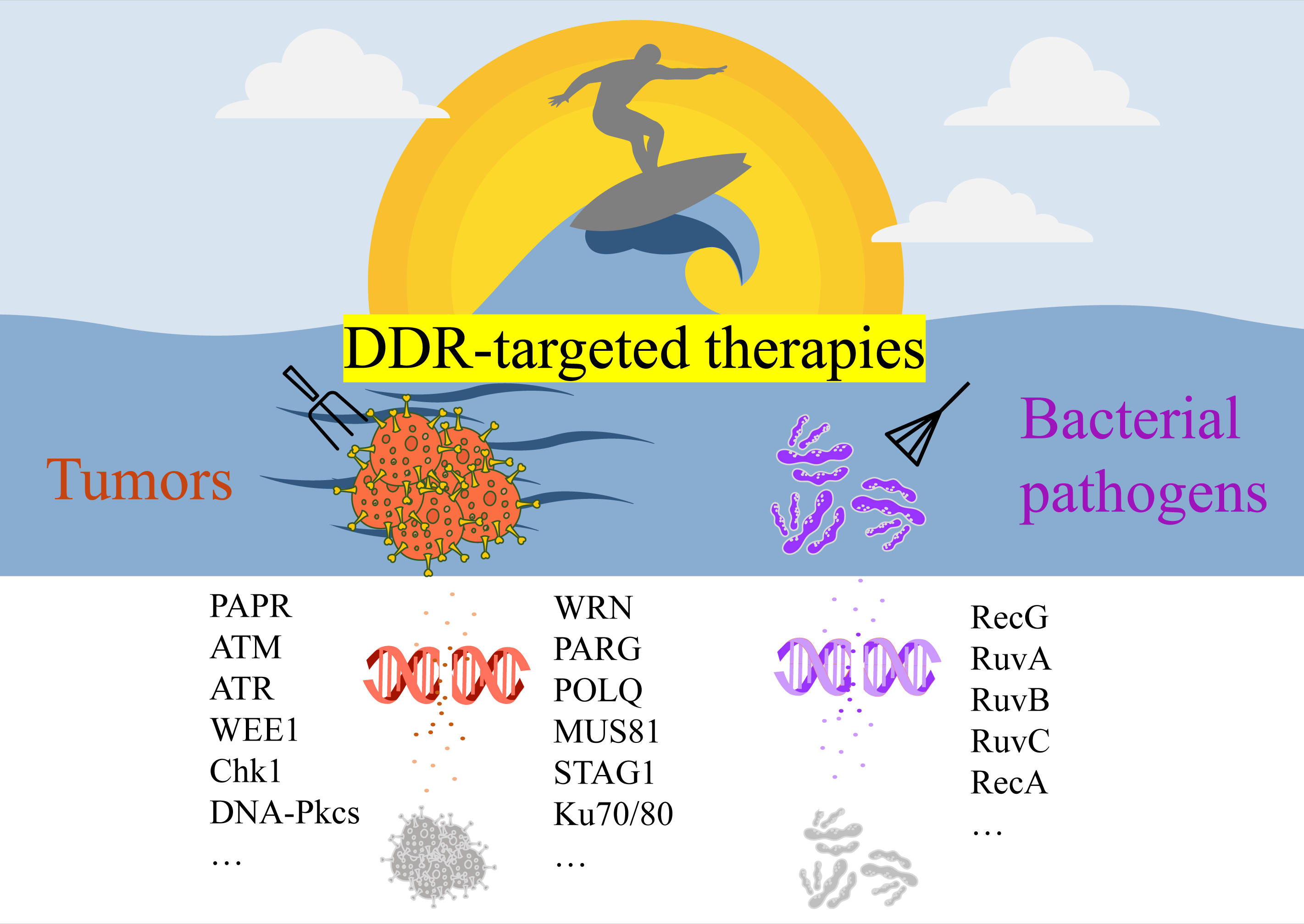 Graphical Abstract