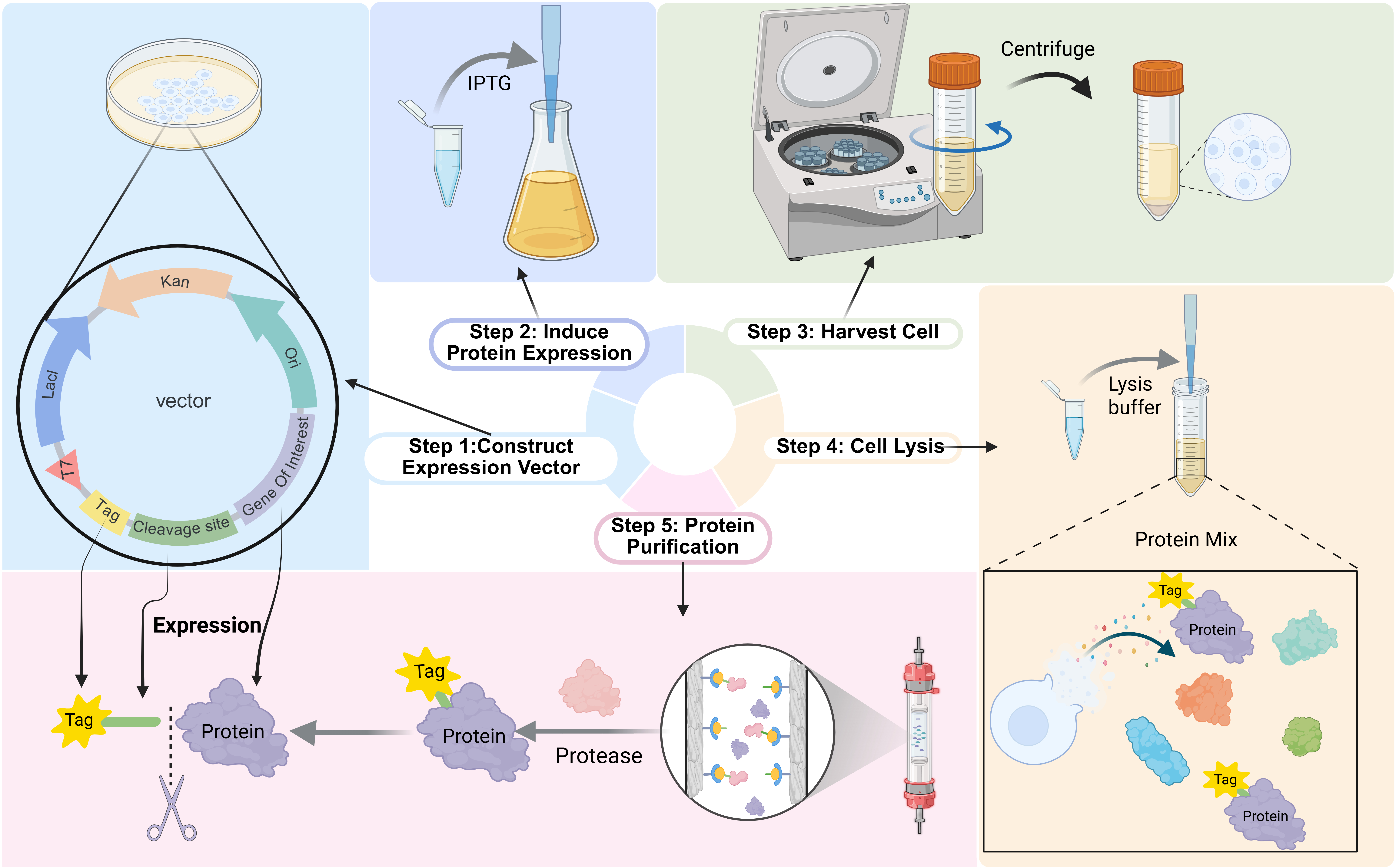 Graphical Abstract