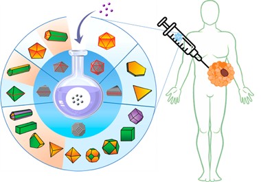 Graphical Abstract