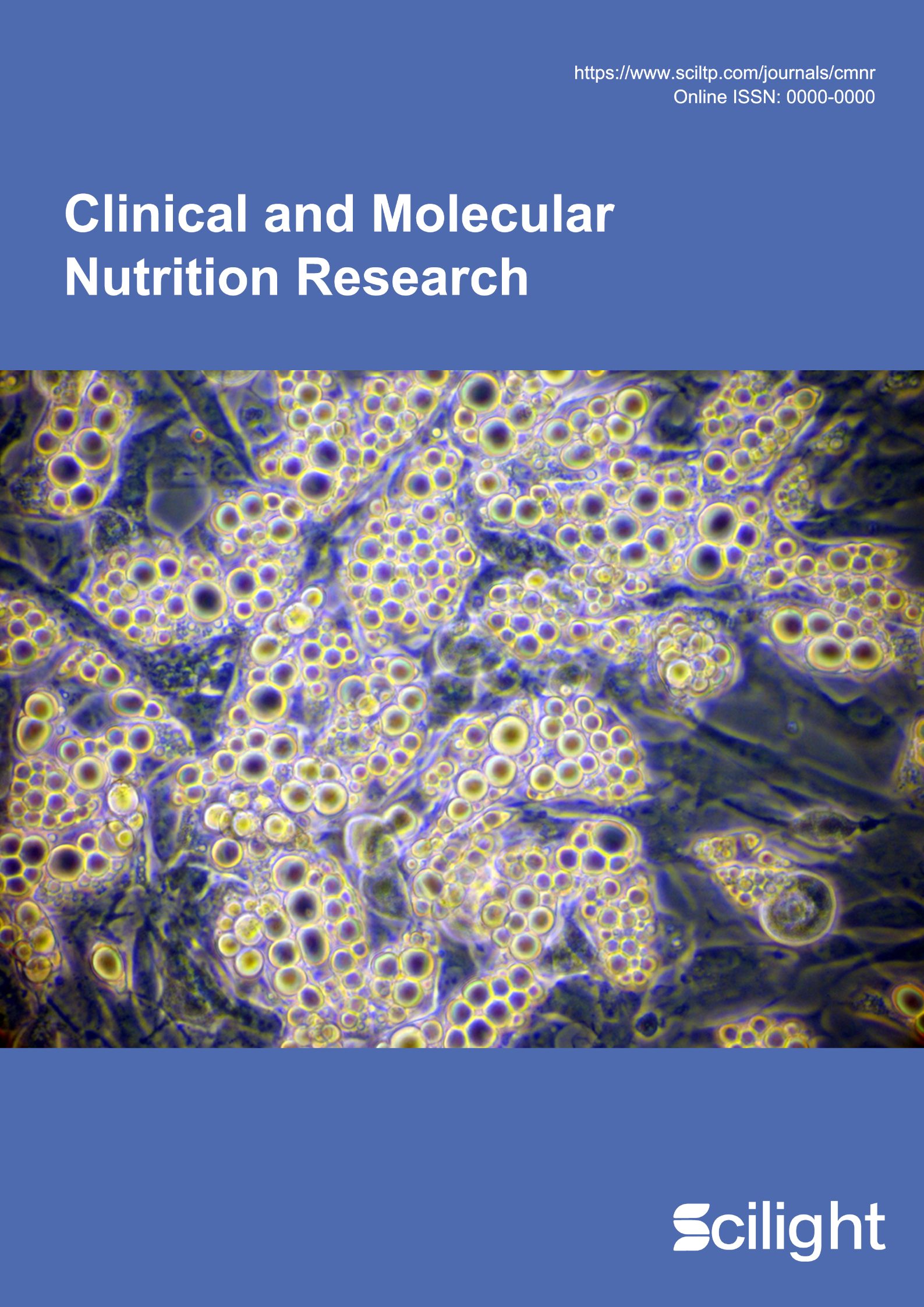 journal cover