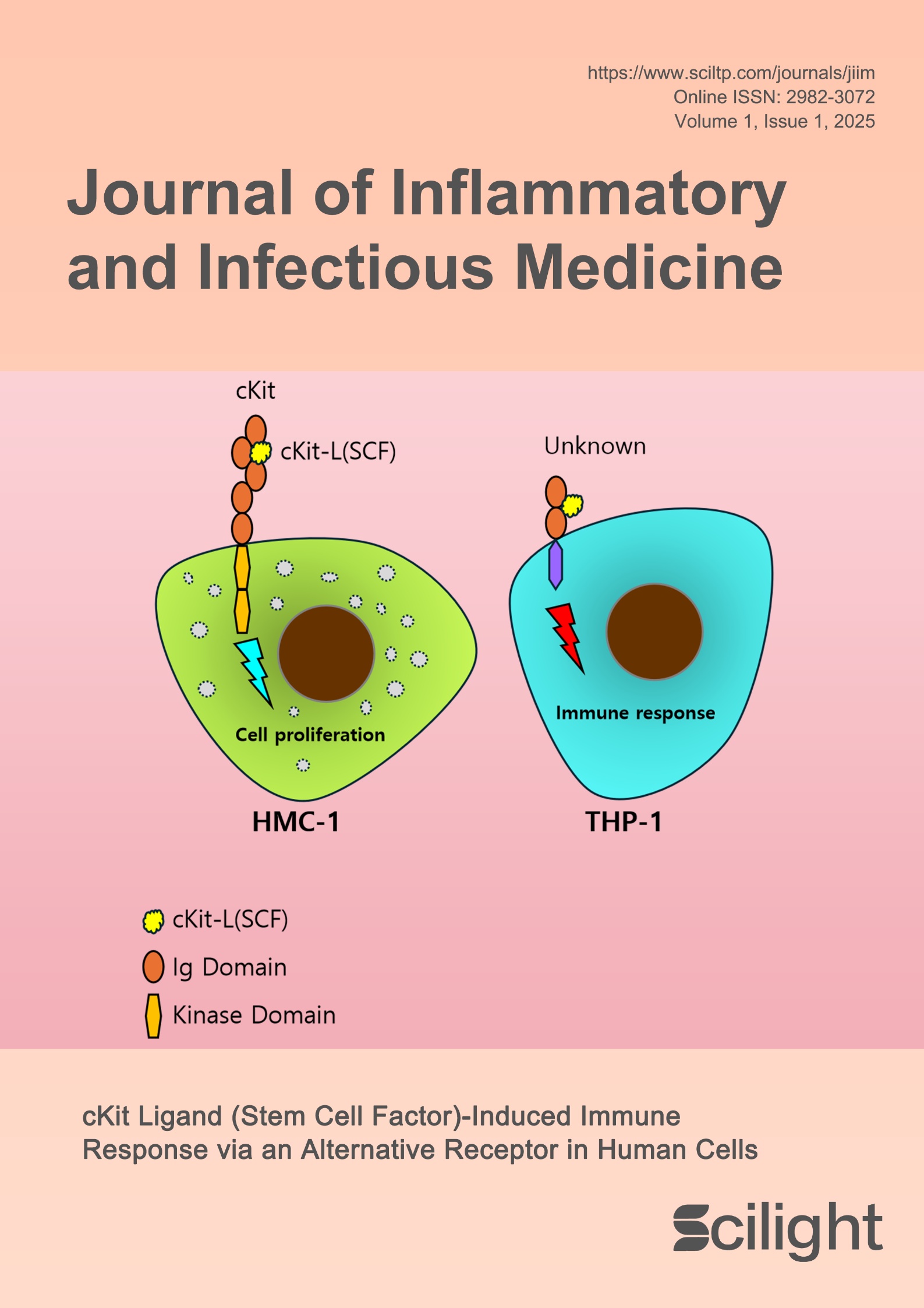 issue cover image