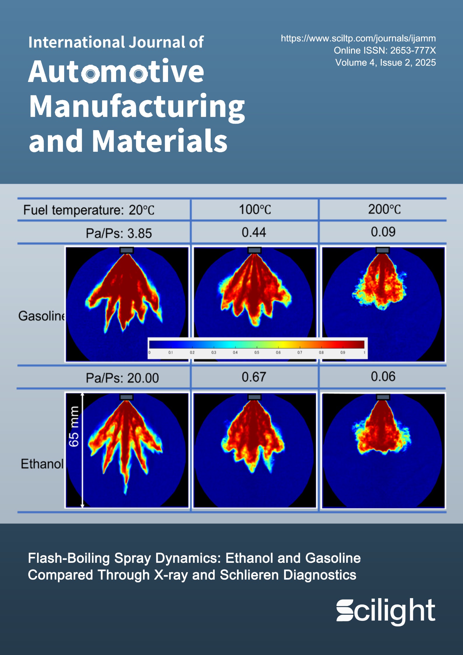 issue cover image