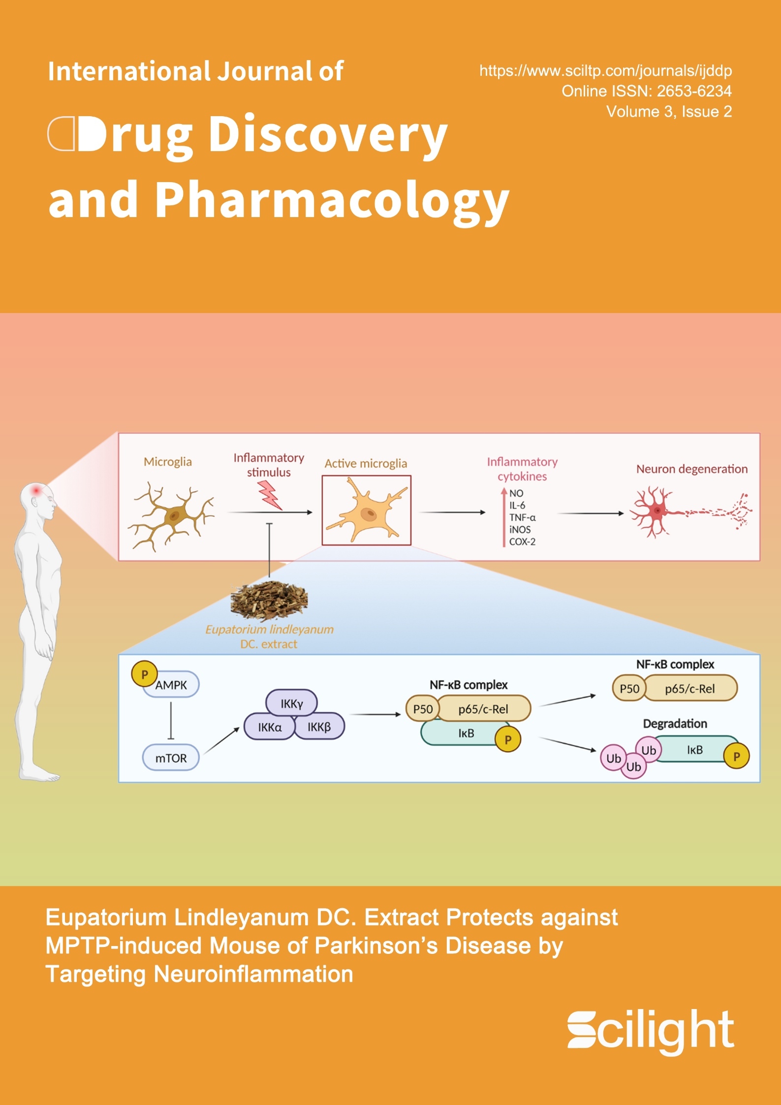 issue cover image
