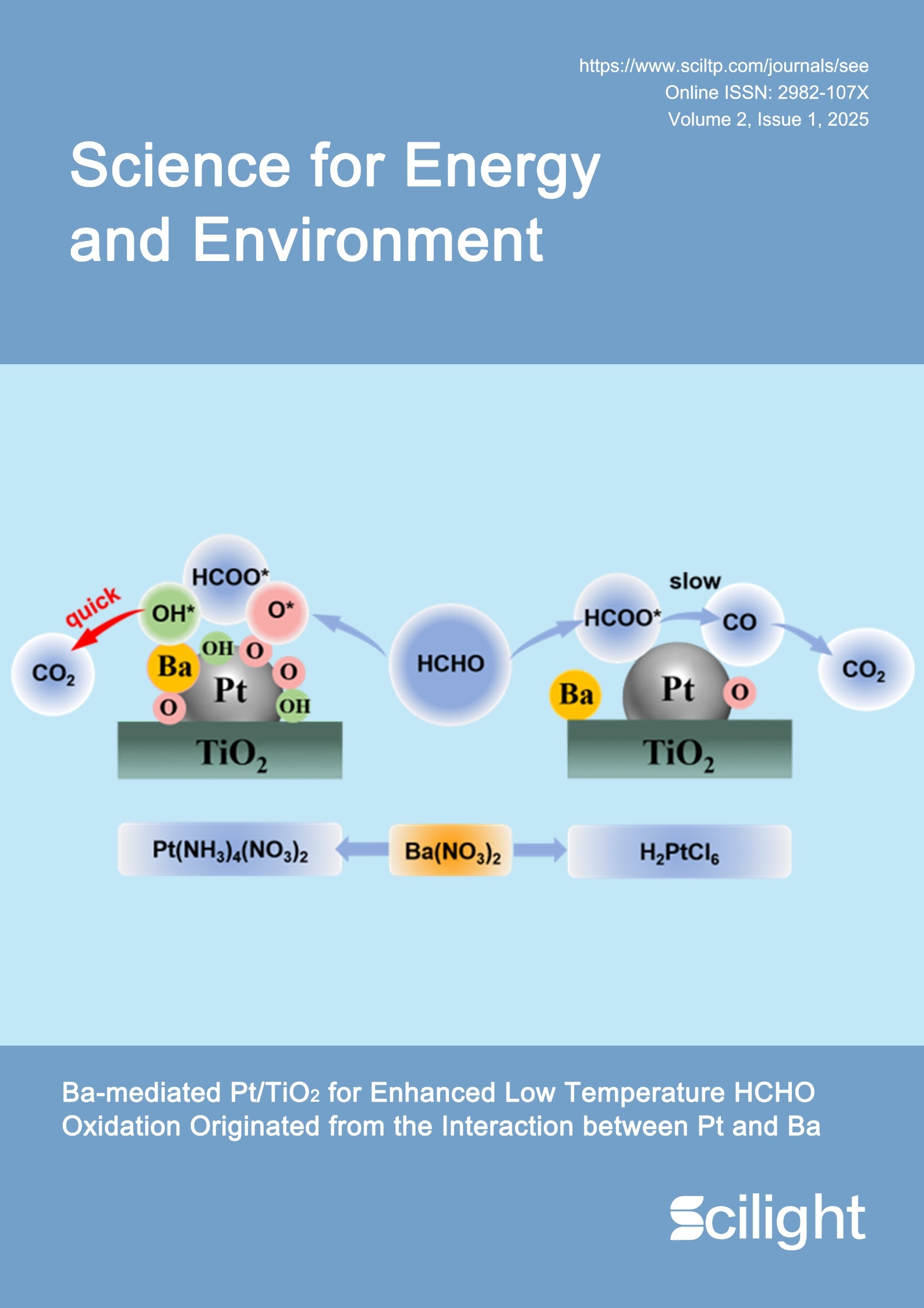 issue cover image